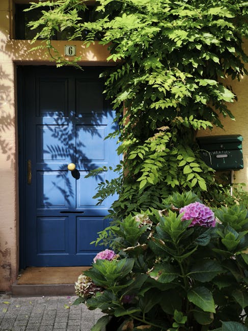 A vibrant blue door representing welcoming financial opportunities