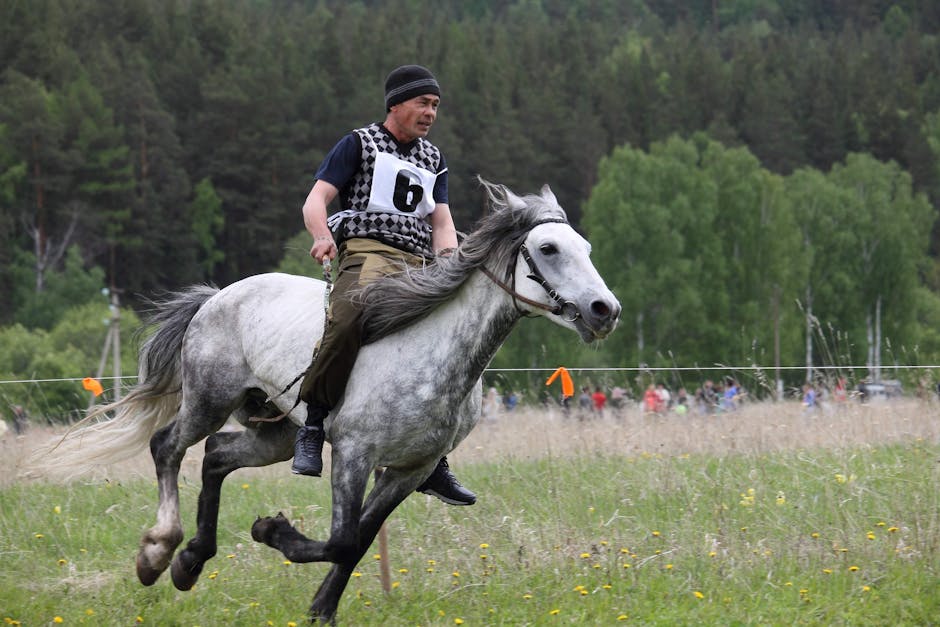 A horse rider competing with number six, symbolizing financial agility and drive