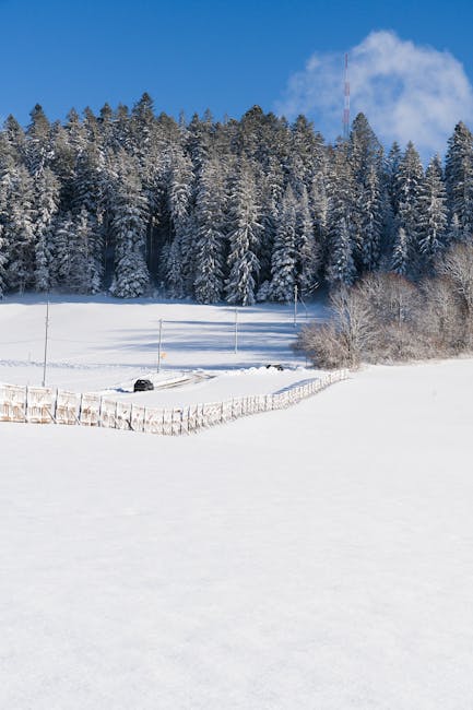 A serene snowy landscape, representing clear financial vision and stability